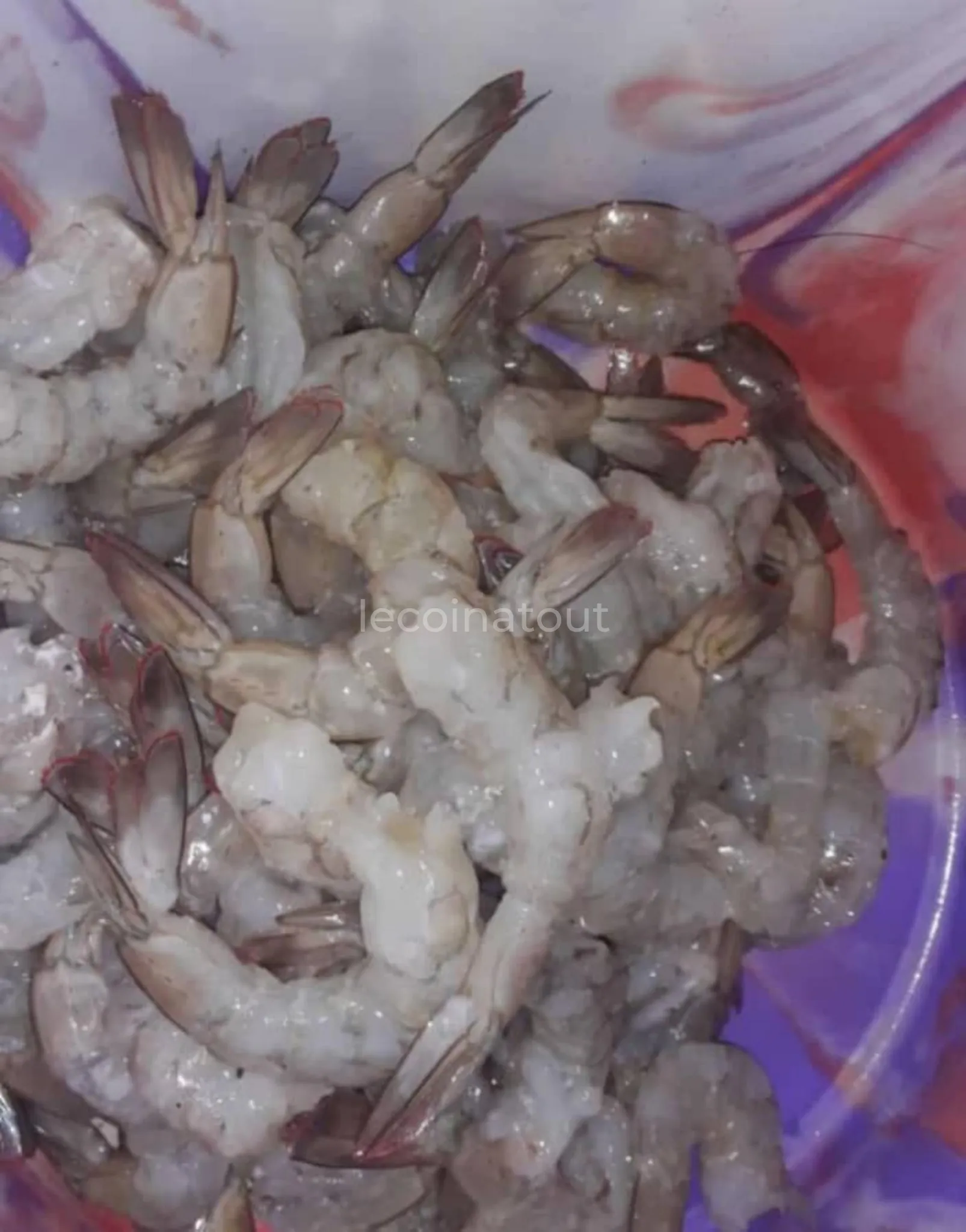 Fruits de mer — photo 3, Golf Sud
