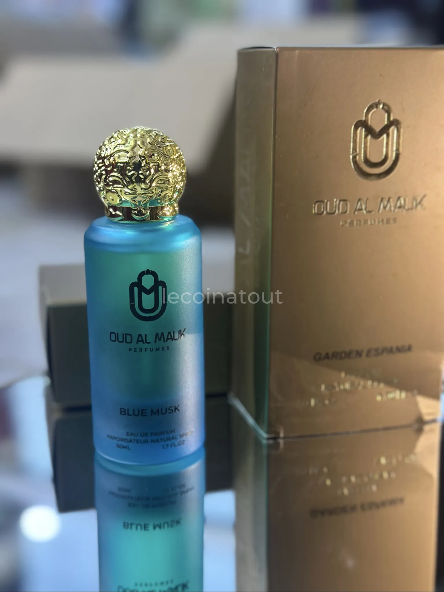 Parfums — photo 3, Dakar