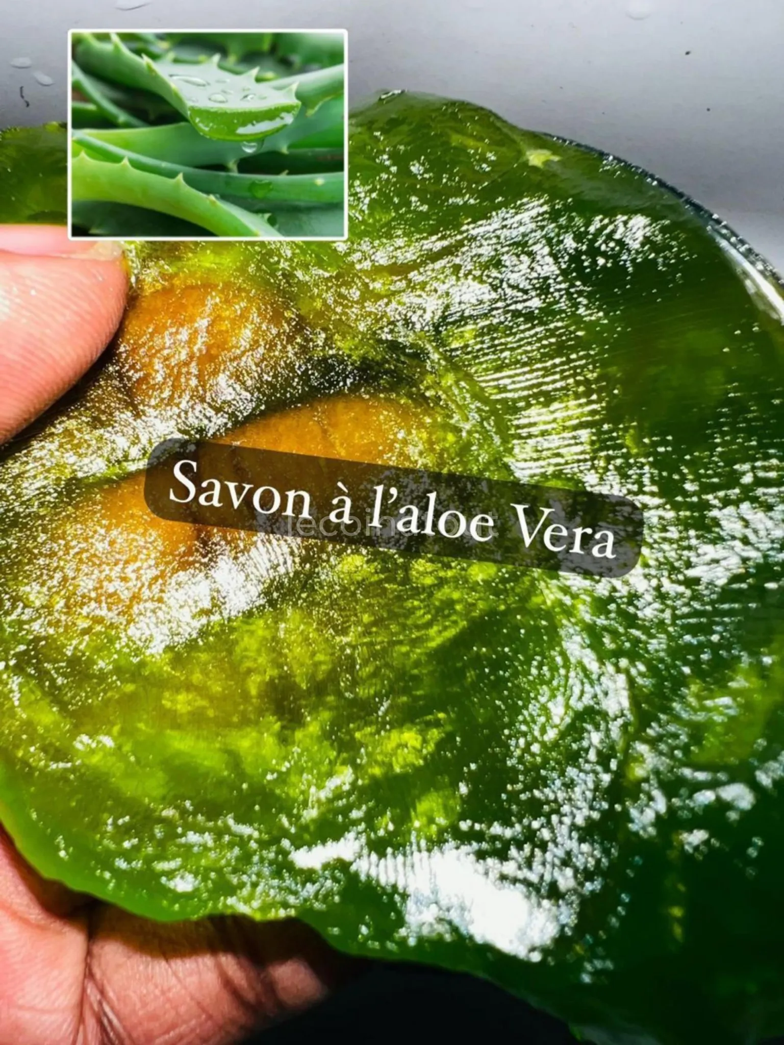 Savons exfoliants du Maroc — photo 5, Dakar